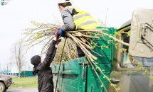 56691438_1448910755251908_8311958445972520960_o