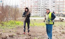 Чоловік та жінка збирають гілки.