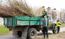 Чоловіки завантажують гілки на вантажівку.