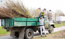 Чоловіки завантажують гілки на вантажівку.