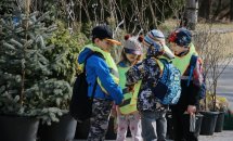 Три хлопчики та дівчинка стоять біля саджанців дерев.