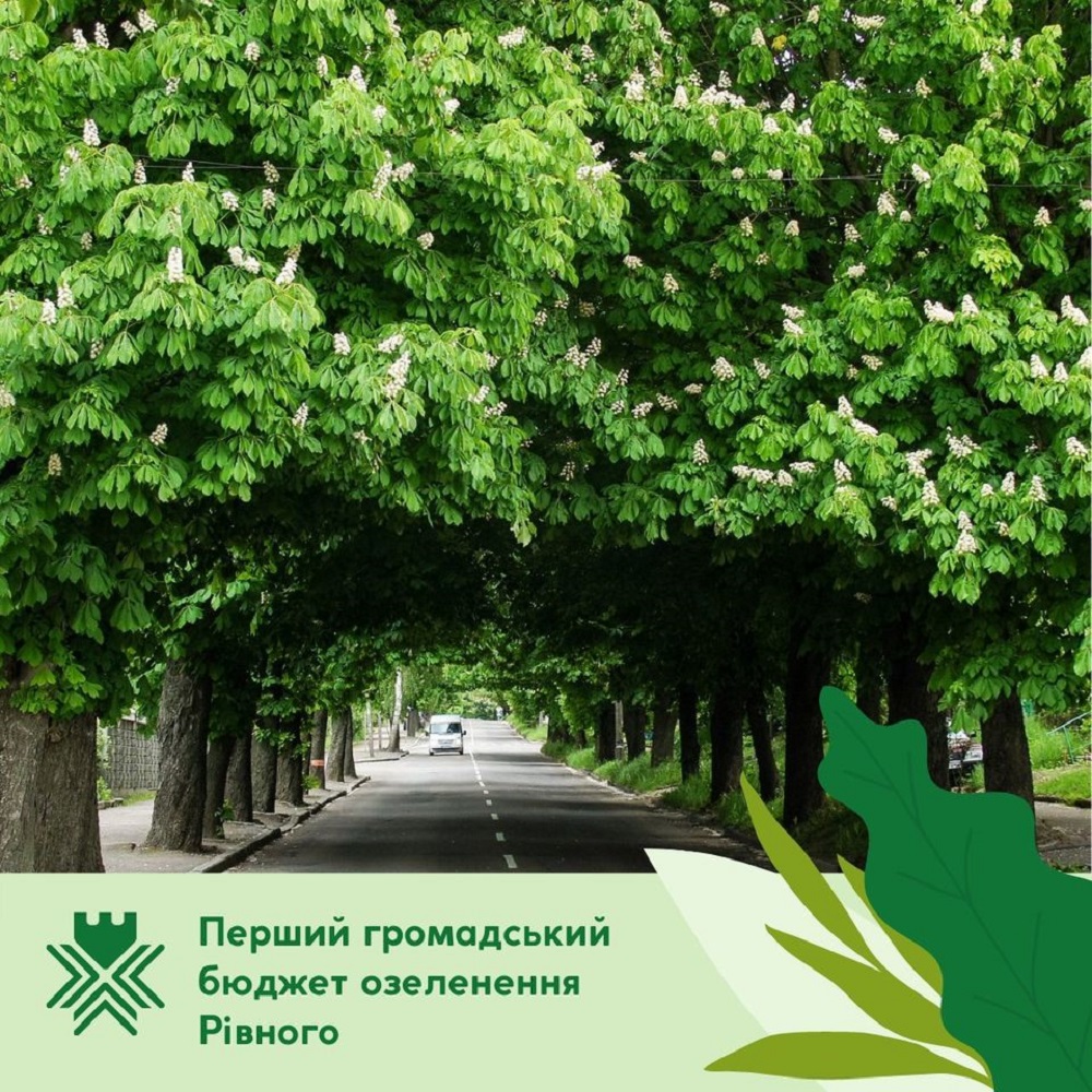 Перший громадський бюджет озеленення! Подай свій проєкт – розвивай озеленення міста!