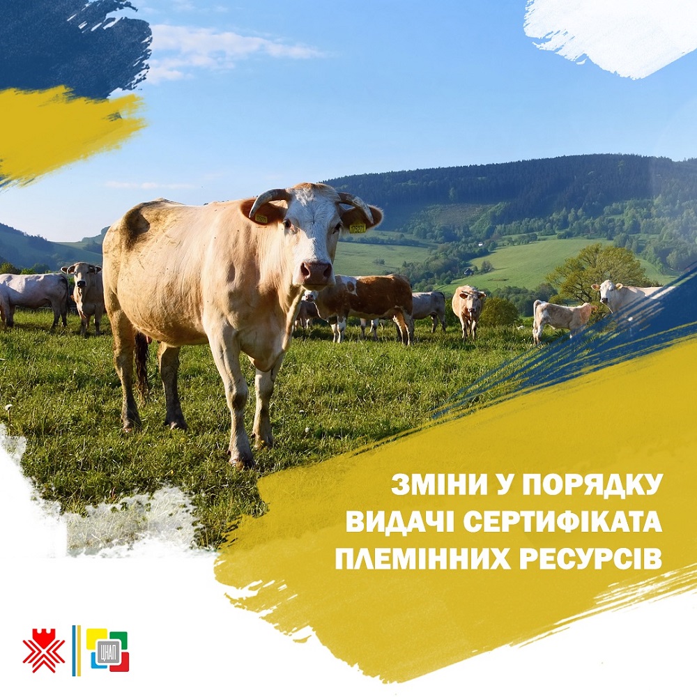 Зміни у порядку видачі сертифіката племінних (генетичних) ресурсів!