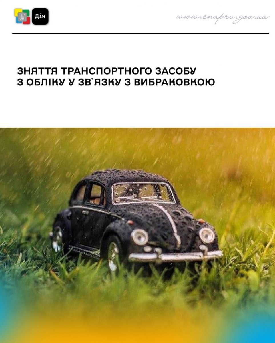 Іграшковий чорний автомобіль, вкритий краплями дощу, стоїть на мокрій траві.