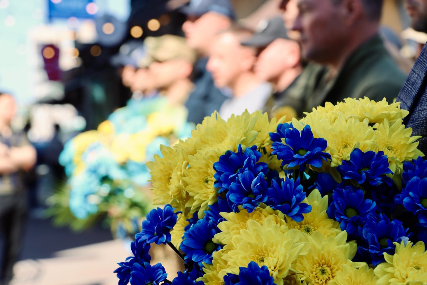Квіти синього та жовтого кольору.